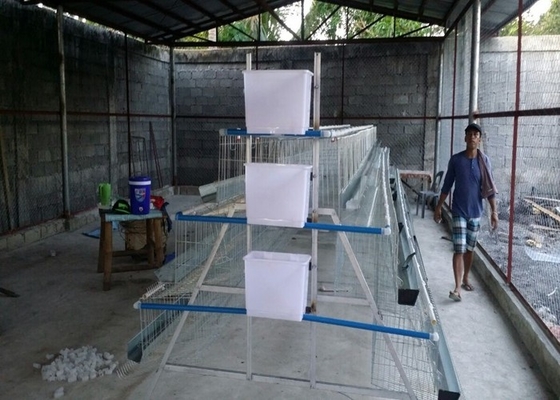 3 층들 4 공간 500-1000 조류 닭 사육은 필리핀 농장을 위해 가둡니다