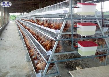 4 계층 128 새 층 닭고기 케이지 닭을 위한 가연 조류 농장