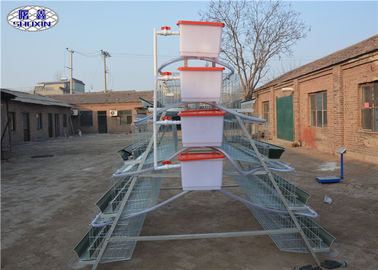 자동적인 층 닭 감금소에 의하여 직류 전기를 통하는 특징 농장을 위한 유형 디자인