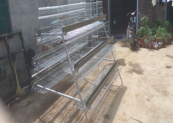 2.8mm SUS Wire Poultry Battery Cage PVC Coating With Feeding Trough