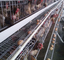 뜨거운 직류 전기로 자극된 4 층 레이어 새장 계란 가금류 사육장 닭집