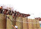 토목섬유와 요새 모래 벽 철골 홍수 HDG 군 장벽