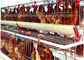 유형 자동 시스템 128 가금류 닭 케이지 계란 층 농기구