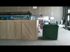 요새 방어적 장애