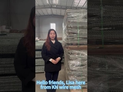 방어적 장벽 제품 발표