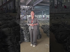 보이지 않는 와이어 메시 워크샵 쇼