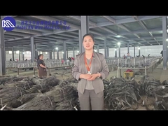 항 탱크 장벽 메시 작업실 소개 및 표시