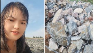 개비온-멜로디-1