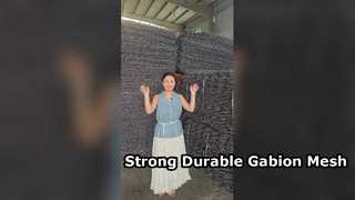 Gabion 바구니 유지를 위한 Galvanized+PVC 코팅 육각 철 길쌈 철망사