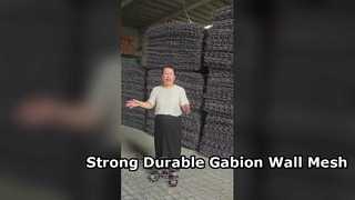 직류 전기를 통한 철 철사 6각형 PVC 입히는 Gabion 벽 옹벽 메시 80x100mm