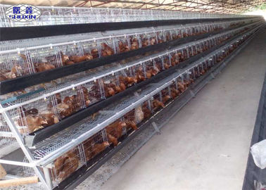 닭 농장을 위한 직류 전기를 통한 층 닭 공개 파티 건전지 감금소 체계