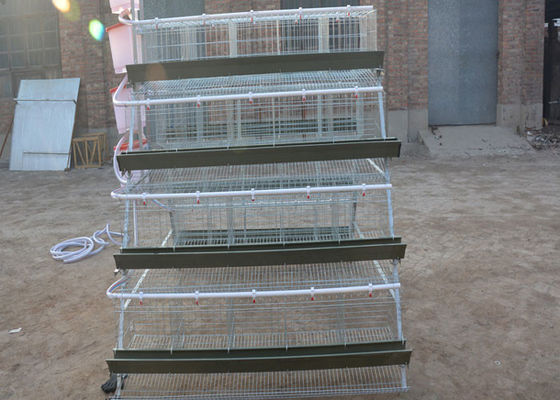 4 레이어 128 닭은 뜨거운 직류 전기로 자극된층 닭 새장 사용된 닭 목장을 가둡니다