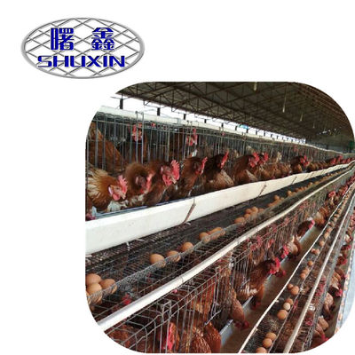 닭장 닭은 탄자니아에서 3/4 층들 능력 96-160 조류 고급 품질을 가둡니다