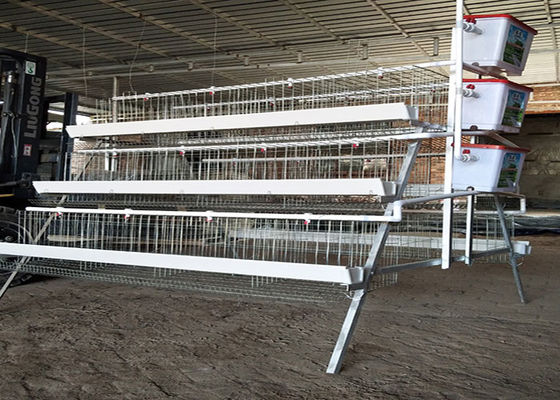 Steel Wire PVC Pipe 4 doors Layer Chicken Cages Cold Galvanized