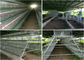 헨 새장을 놓는 160 닭 자동 피드 농장 가금류