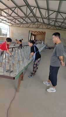 판매 탱크 장벽 윙닝 네트워크 트랙 보호 네트워크 저 가시성 철망 네트워크