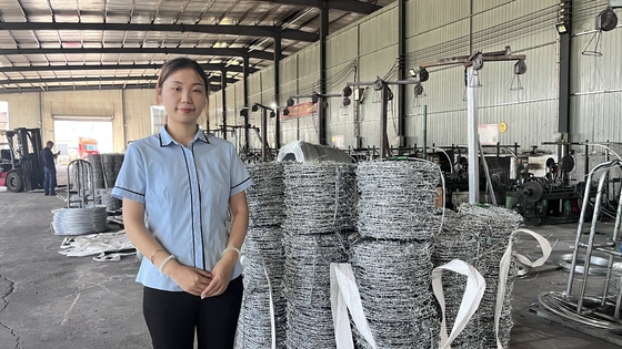 공장 핫 덤프 된  Galvanized 톱니 와이어 Mesh 보안 울타리 12.5 가이드 18 가이드 PVC 코팅 철 톱니 와이어