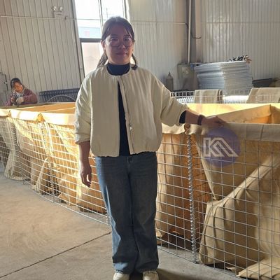 Defensive Hesco Barrier  Mil 1- Mil 19 Welded Mesh Gabion Basket For Flood Control And Military Fortifications