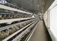 계란 닭 가금류 농장 세륨 증명서를 위한 3개의 층 가금류 건전지 감금소