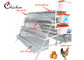자동적인 닭 층 건전지 감금소, Q235 강철 현대 닭 감금소
