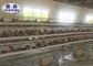 직류 전기를 통한 건전지 H 유형 층 닭 감금소 10000 새 가금류 농장 사용