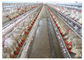 세륨 증명서를 가진 가금류 경작 Q235 육계 닭장