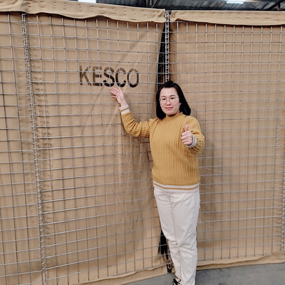 안전 메시 돌풍 벽을 위한 뜨거운 담궈진 직류 전기를 통한 군 장벽