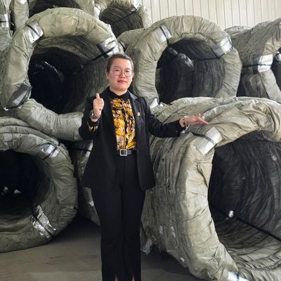 egoza concertina 와이어 펜싱 면도기 가시 가시기 부지에 대한 날카로운 보호