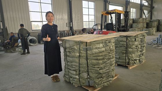 공장 도매 아연 도금 PVC 스테인리스 스틸 콘서티나 레이저 바브 와이어 BTO-22 BTO-60 레이저 바브 와이어 롤