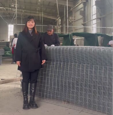 SX10 샌드 필드 HESCO 지오텍스틸과 방어 장벽 군사 가비온 장벽 hesco 장벽 가격