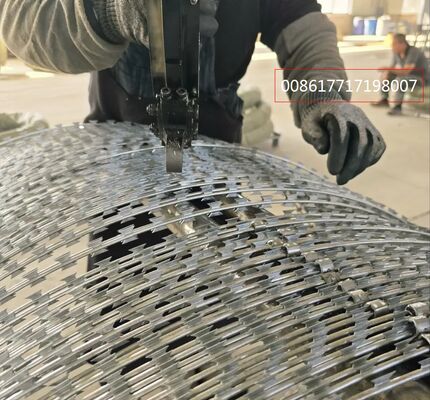 공장 직접 공급 면도날 철조망 - 교도소 경계 농장